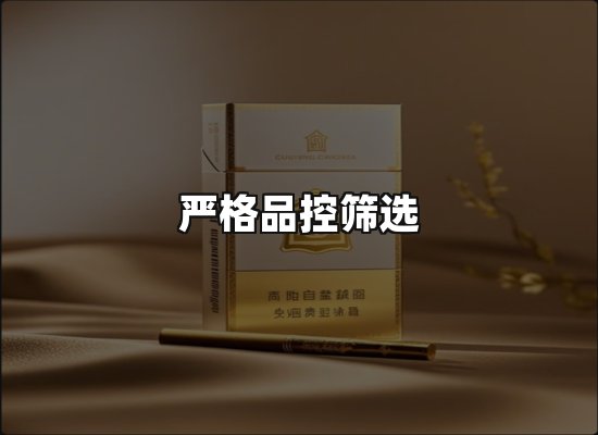 专业优势
